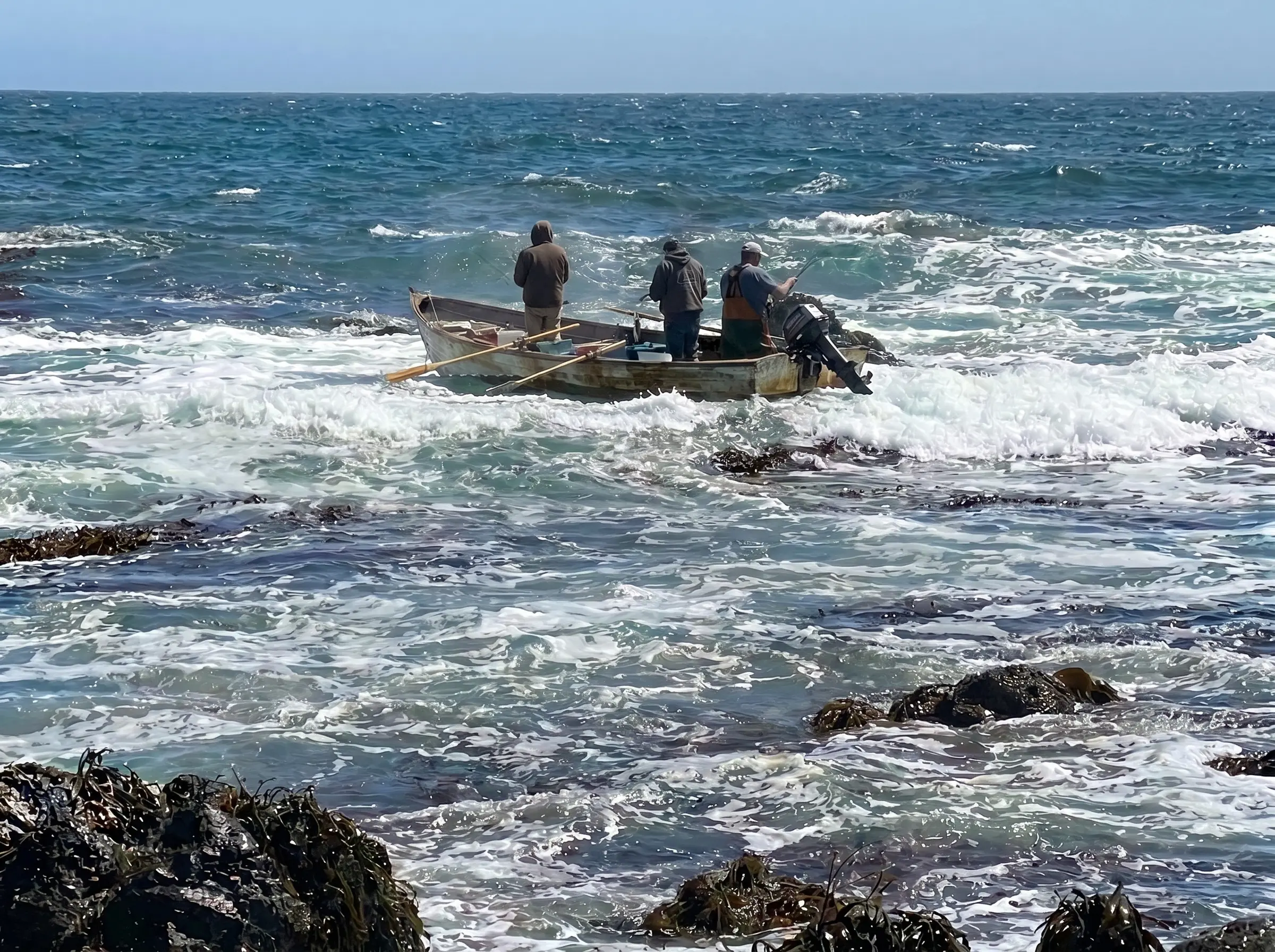 Taller de cultura de la pesca artesanal